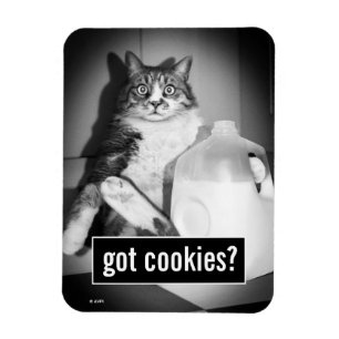 Katt som dricker Mjölk från sot Magnet