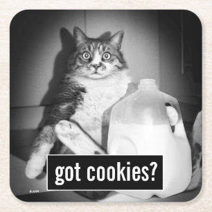 Katt som dricker Mjölk från sot Underlägg Papper Kvadrat