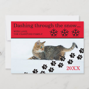 Katt som drunknar genom Snö - 3 x 5-julkort Julkort