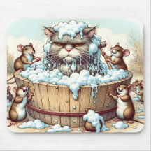 Katt som får en bath