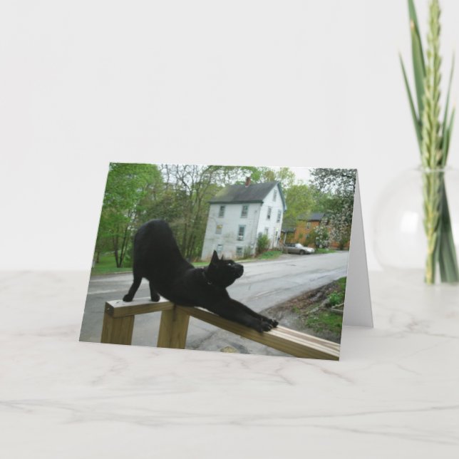 Katt som gör kortet för morgonYogahälsning Kort (Framsida)