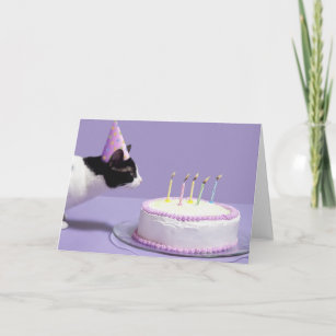 Katt som ha på sig födelsedaghatten som ut blåser kort