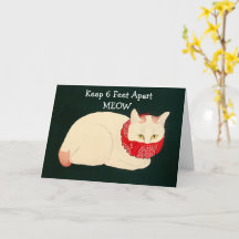 Katt som håller 6 fot åtskilt