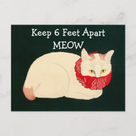 Katt som håller 6 fot åtskilt vykort