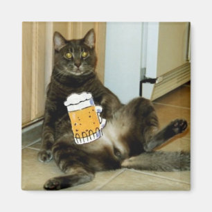 Katt som har en öl magnet