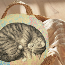 Katt som klistrade sig och sov på mysigt