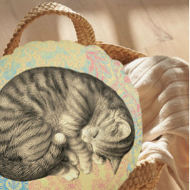 Katt som klistrade sig och sov på  mysigt rund kudde