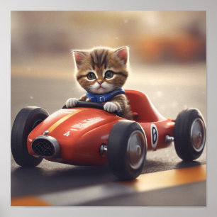 Katt som kör bil i tävling poster