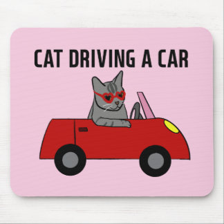 Katt som kör bil musmatta