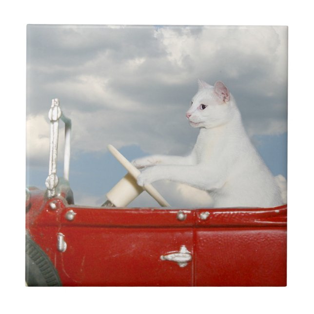 Katt som kör en bil kakelplatta (Framsidan)