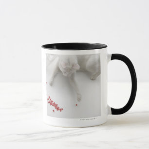 Katt som leker med den hjärtformade godisen mugg