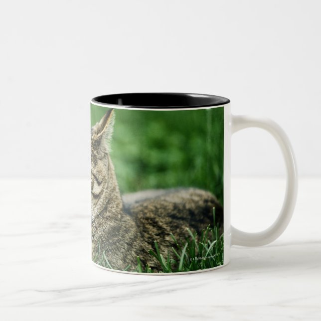 Katt som ljuger i gräs Två-Tonad mugg (Höger)
