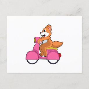 Katt som motorcyklist med skoter.PNG Vykort