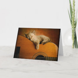 Katt som sovar på gitarren kort