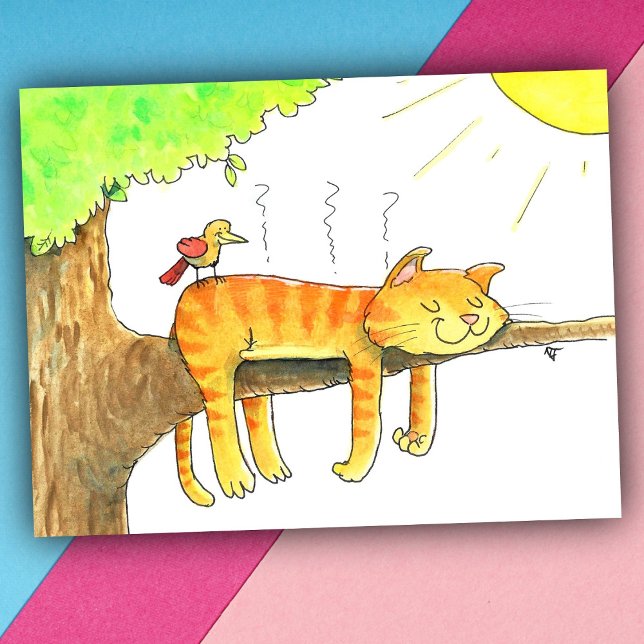 Katt som sover i solen  vykort (Skapare uppladdad)
