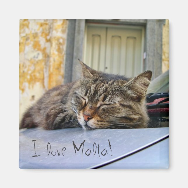 Katt som sover på en bil magnet (Framsidan)