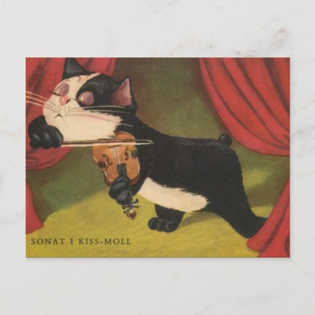 Katt som spelas upp på fiol från 1909 PC Vykort (Framsida)