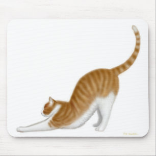 Katt som sträcker Mousepad Musmatta