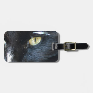 Katt som synar dig bagagebricka