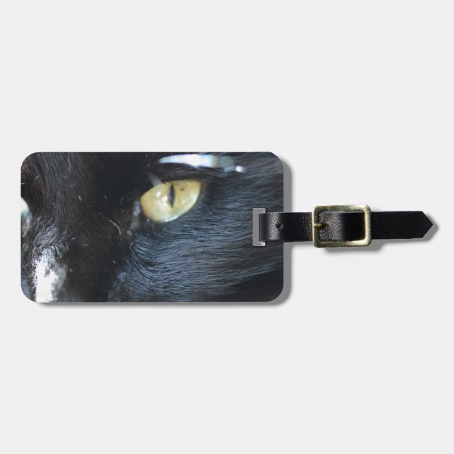 Katt som synar dig bagagebricka (Horisontell Framsida)
