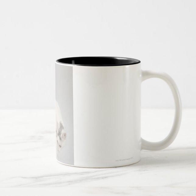 Katt som tittar över en kant Två-Tonad mugg (Höger)