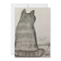 Katt som tittar över oss