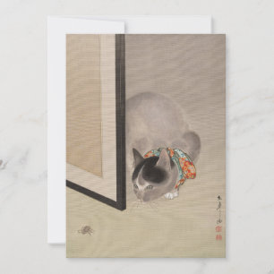 Katt som tittar på en spider Oide Tōkō