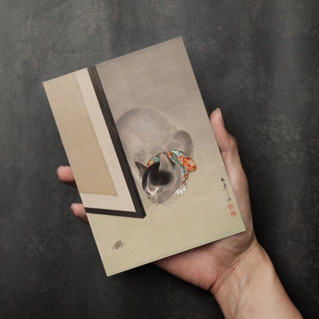 Katt som tittar på en spider | Oide Tōkō Kort (Skapare uppladdad)