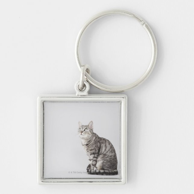Katt som tittar upp fyrkantig silverfärgad nyckelring (Framsidan)