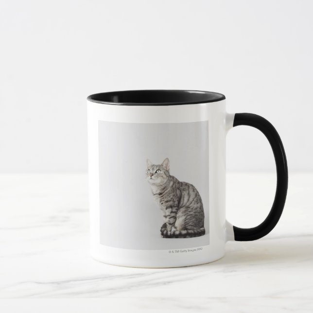 Katt som tittar upp mugg (Höger)