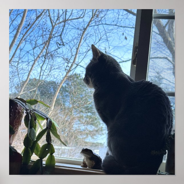 Katt som tittar ut genom fönster-affisch poster (Framsidan)