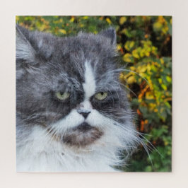 Katt, söt, husdjur, grått, hårig, domestic, kattdj pussel