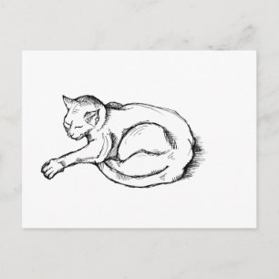 Katt sovande illustration Penna Teckning Konst Vykort