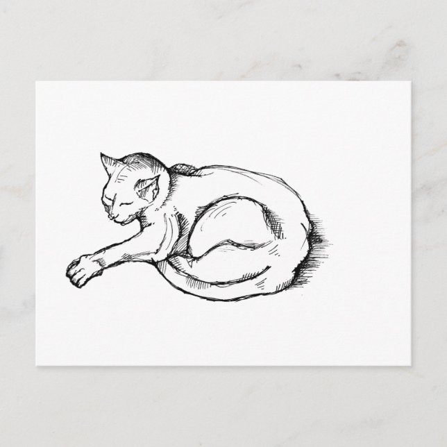 Katt sovande illustration Penna Teckning Konst Vykort (Framsida)