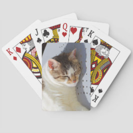 Katt sover i trädgården casinokort