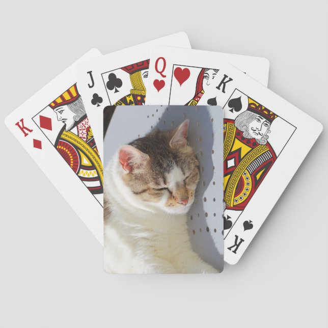 Katt sover i trädgården casinokort (Baksidan)