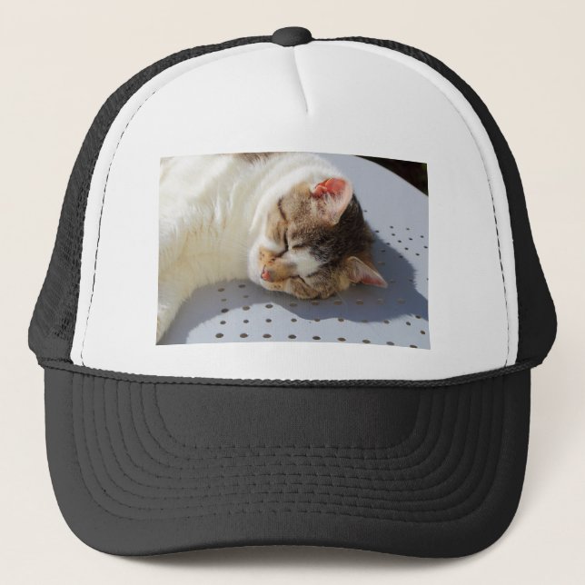 Katt sover i trädgården keps (Framsida)