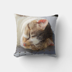 Katt sover i trädgården kudde