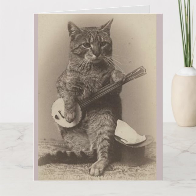 KATT SPELAR BANJO FÖDELSEDAGSKORT TACK KORT (Framsida)