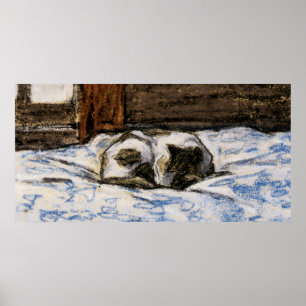 Katt Spipande på en bed Poster