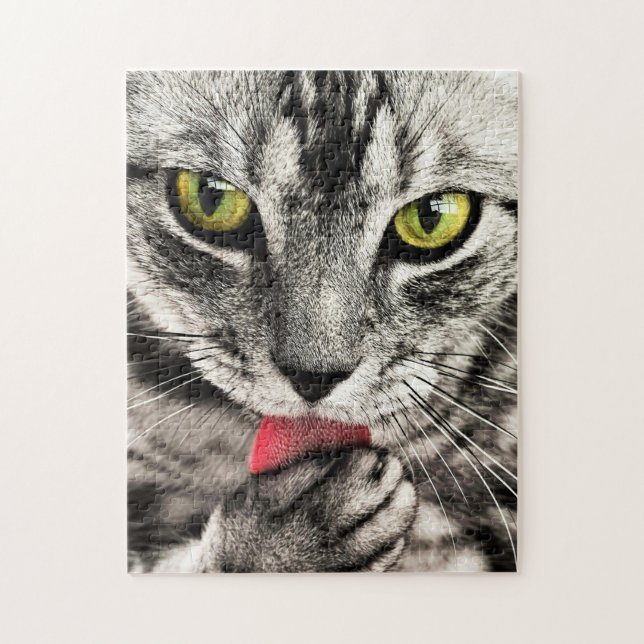 Katt Städning Pussel (Vertikal)