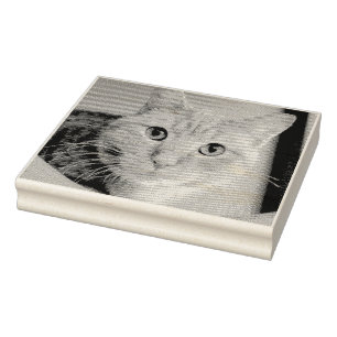 Katt Stämpel