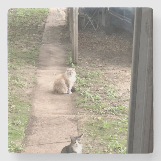 Katt Stenunderlägg (Framsidan)