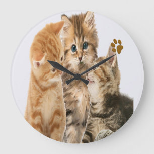 Katt Stor Klocka