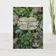 Katt Sympati Blad och Katt Collage 