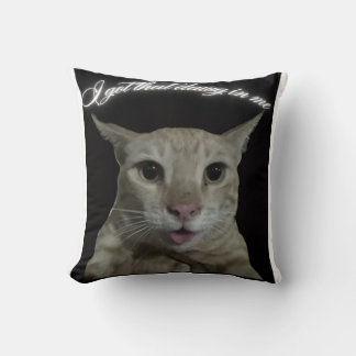 Katt t-shirt kudde