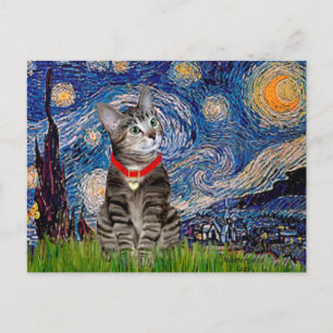 KATT (Tabby2) - Stjärnkväll Vykort