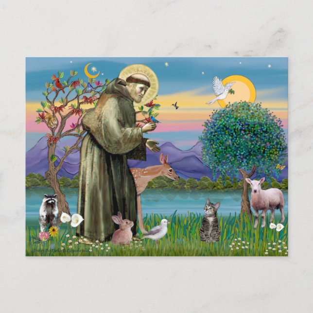 Katt (Tabby 2) - Sankt Franciskus Vykort (Framsida)