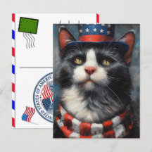 Katt Tabby Tass Kattdjur USA Självständighetsdag 2