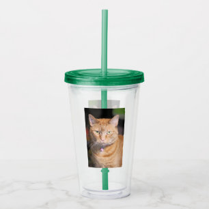 Katt Take Away Mugg